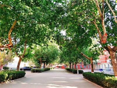 男生學石家莊同創鐵路運輸學校鐵道信號專業怎么樣? 男生學石家莊同創鐵路運輸學校鐵道信號專業怎么樣?